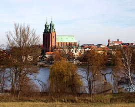 Okolice Skorzęcina - Gniezno