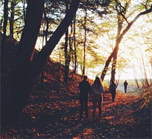 Wypożyczalnia kijków Nordic Walking